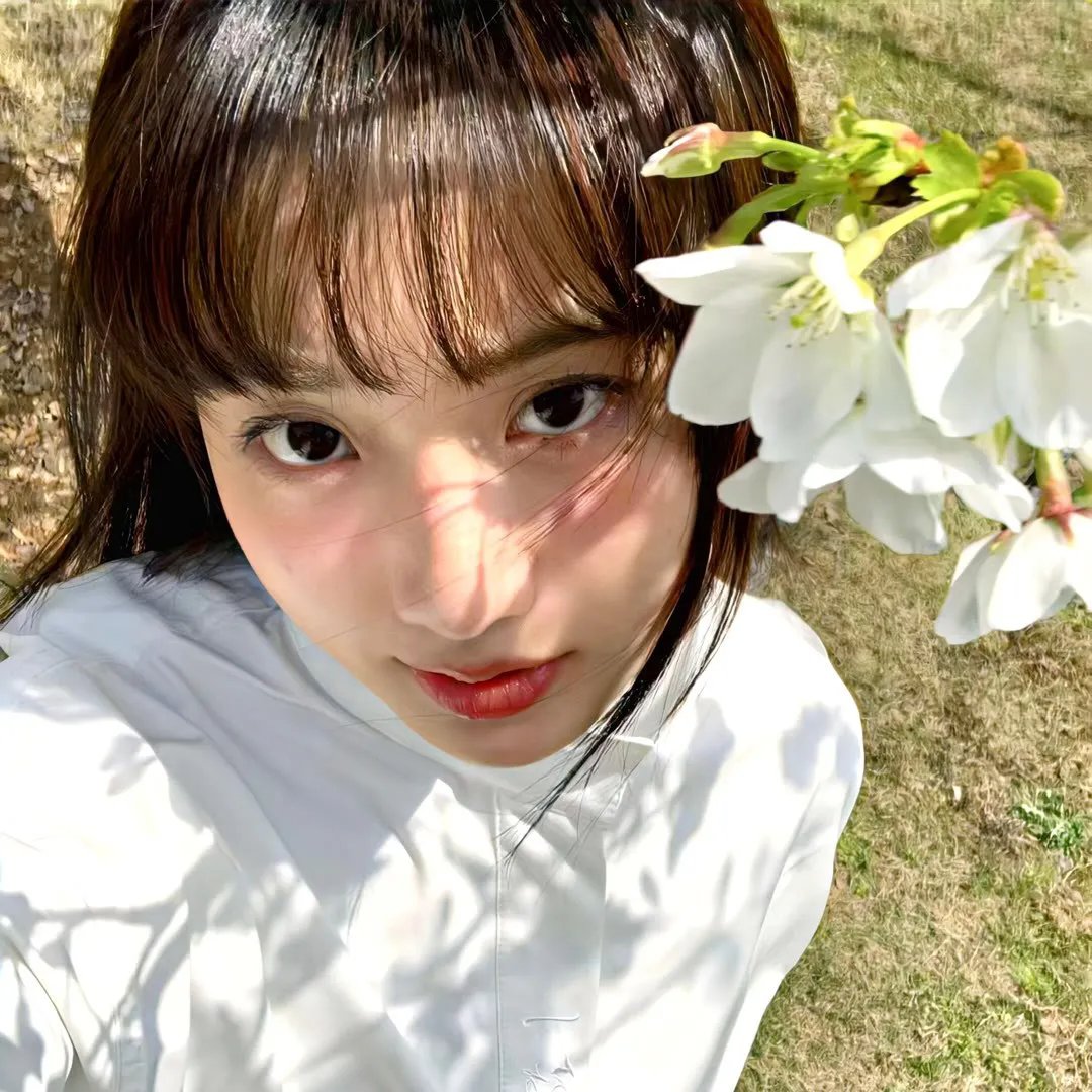 龙种